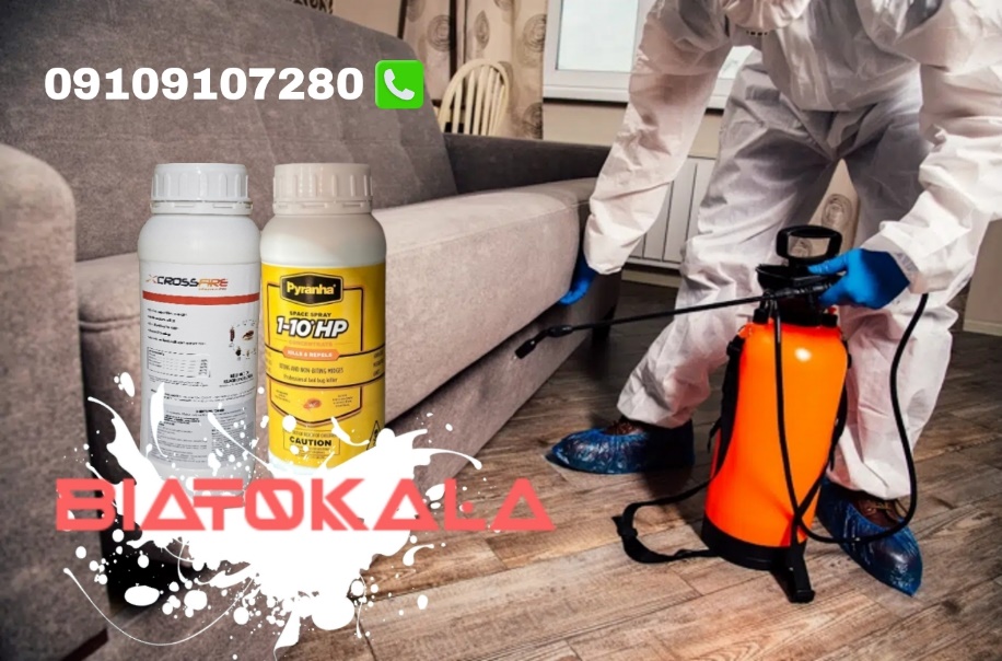 آیا می‌توان تخم‌های ساس را از بین برد؟