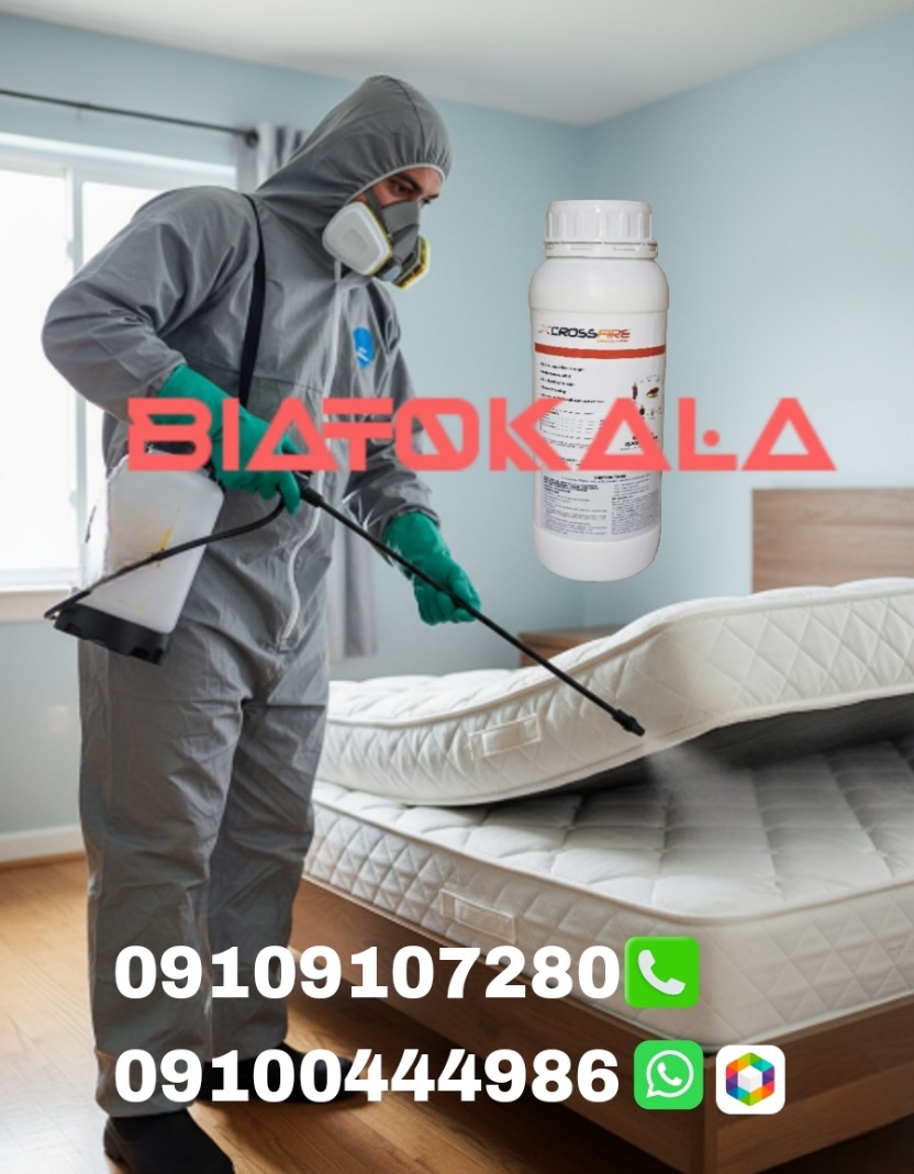 ساس‌ها کجا مخفی می‌شوند و چطور آن‌ها را شناسایی کنیم؟