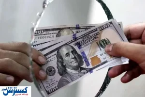 واکنش رسمی به بازار ارز | ایران تحمل دلار بالای ۱۰۰ هزار تومان را ندارد