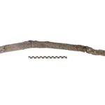 کشف ابزارهای چوبی ۴۳۰ هزار ساله در یونان