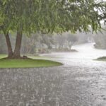 کم‌بارشی ۷۱ میلی‌متری تهران نسبت به میانگین بلندمدت| تداوم کم‌آبی در نیمه شمالی کشور