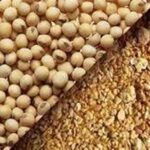 به‌روزرسانی قیمت کنجاله سویا و توقف ثبت سفارش‌های زمستانی