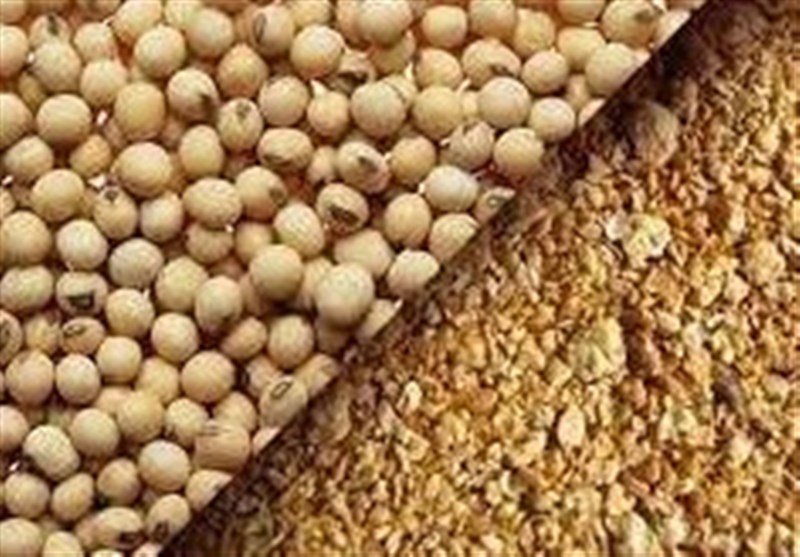 به‌روزرسانی قیمت کنجاله سویا و توقف ثبت سفارش‌های زمستانی