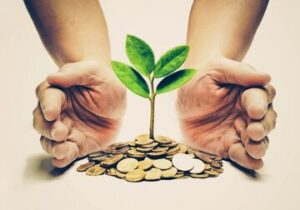 صندوق نوآفرین در مسیر احیا / مدیرعامل جدید معرفی شد
