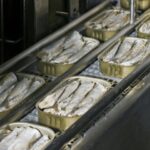 نگاهی به صنعت جهانی کنسرو ماهی تا ۲۰۳۳؛ سهم ۱۰درصدی کنسرو ماهی از تجارت جهانی ماهی