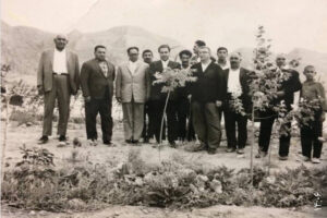 پرداختن به دغدغه اتحاد و محیط زیست؛ چگونه درختان شهر را نجات دادند؟