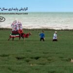 پنجمین‫ گزارش پایداری ایرانسل منتشر شد