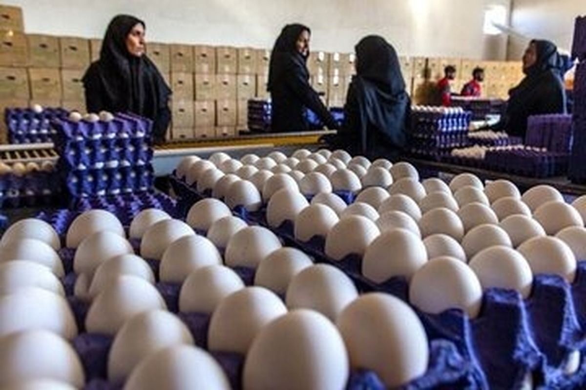 پیشتازی بی رقیب ایران در جمع بزرگان/ ایران غولهای خاورمیانه را جا گذاشت پیشتازی بی رقیب ایران در جمع بزرگان/ ایران غولهای خاورمیانه را جا گذاشت