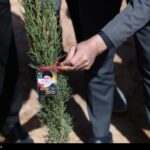9 میلیون اصله نهال در طرح پویش سرو ایرانی کاشته شد