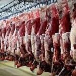 تامین مطلوب گوشت قرمز در بازار/ پیش بینی افزایش تولید