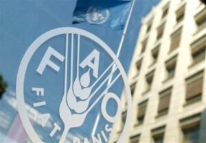 رشد 2.4 درصدی قیمت جهانی غذا در یک ماهه جنگ آمریکا علیه ایران
