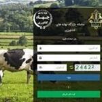 محدودیت سهمیه نهاده های دامی در بازارگاه برداشته شد