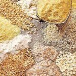 محدودیت واردات از طریق بنادر جنوبی کشور / اولین محموله نهاده دامی نیز از بنادر شمالی وارد کشور شده است