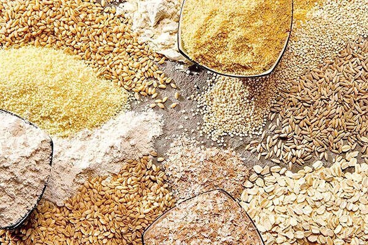محدودیت واردات از طریق بنادر جنوبی کشور / اولین محموله نهاده دامی نیز از بنادر شمالی وارد کشور شده است