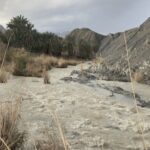 هشدار سازمان هواشناسی نسبت به بارش باران و وزش باد شدید در غالب نقاط کشور تا چهارشنبه آتی
