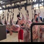 آغاز عرضه و ذبح بهداشتی عید قربان از ساعت 6 صبح فردا