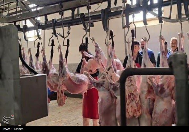 آغاز عرضه و ذبح بهداشتی عید قربان از ساعت 6 صبح فردا