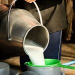 دامداران در انتظار اصلاح قیمت شیر خام