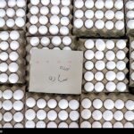 صادرات تخم مرغ دوباره آزاد شد