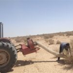 ملخ‌های بومی برای تولید خوراک طیور و آبزیان جارو می‌شوند