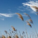 موج هوای خنک به ایران رسید