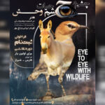 رویداد تجسمی «چشم در چشم حیات‌وحش» برگزار می‌شود