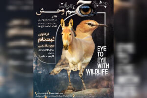 رویداد تجسمی «چشم در چشم حیات‌وحش» برگزار می‌شود