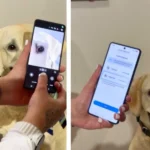 سامسونگ قابلیت Pet Care را معرفی کرد؛ تشخیص بیماری حیوان خانگی با یک عکس
