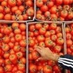 وابستگی 98 درصدی کشور به بذر هیبرید وارداتی