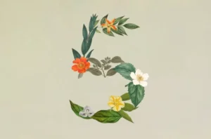 آنتروپیک از Claude Sonnet 5 رونمایی کرد؛ مدلی قدرتمند برای هدایت ایجنت‌ها