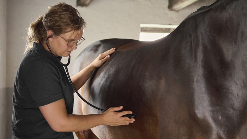 هزینه نگهداری اسب در باشگاه (پانسیون، تغذیه، دامپزشکی و ...) در سال ۱۴۰۵ تجهیزات پوشیدنی هوشمند و کاهش هزینههای درمانی و دامپزشکی