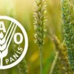 شاخص قیمت جهانی مواد غذایی در مسیر صعود؛ شکر پیشتاز گرانی