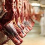واردات گوشت قرمز با وجود محدودیت های تنگه هرمز ادامه دارد